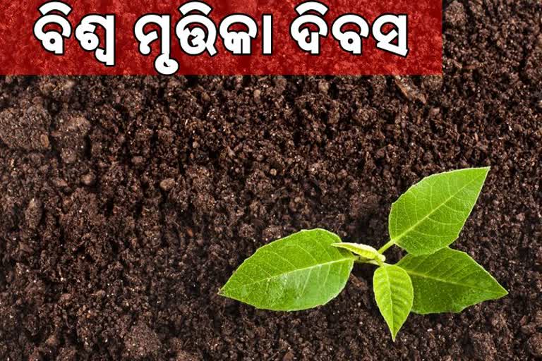 WORLD SOIL DAY