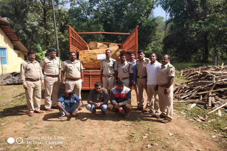 ಅಕ್ರಮ ಮರಗಳ ಸಾಗಾಣೆ: ಮೂವರ ಬಂಧನ