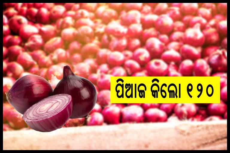 ONION PRICE