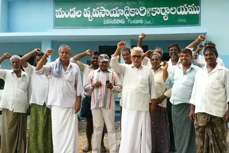 cotton formars protest at agriculture office in guntur