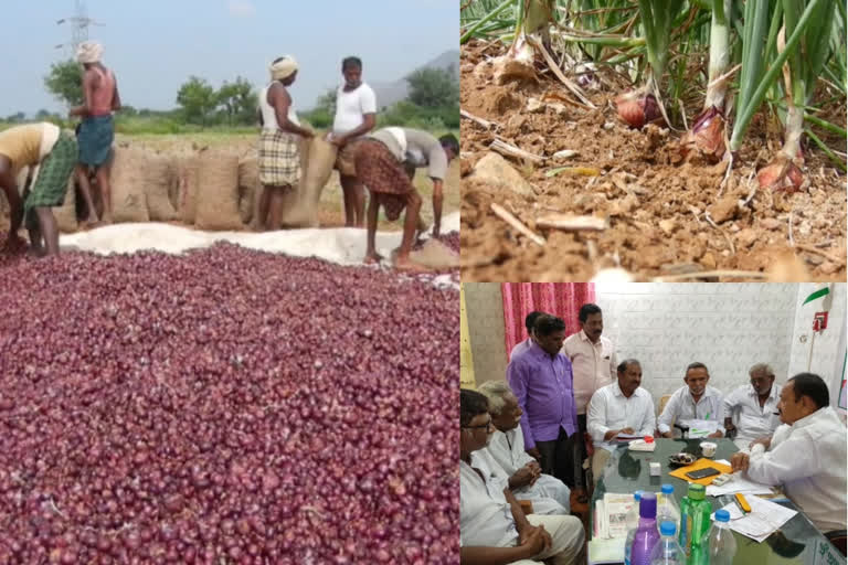 kp onions are alternative of pedda ballari onions coose by Marketing Department officials at kadapa