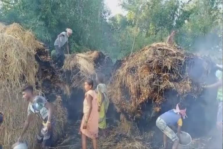 FIRE IN PADDY BUNDLE