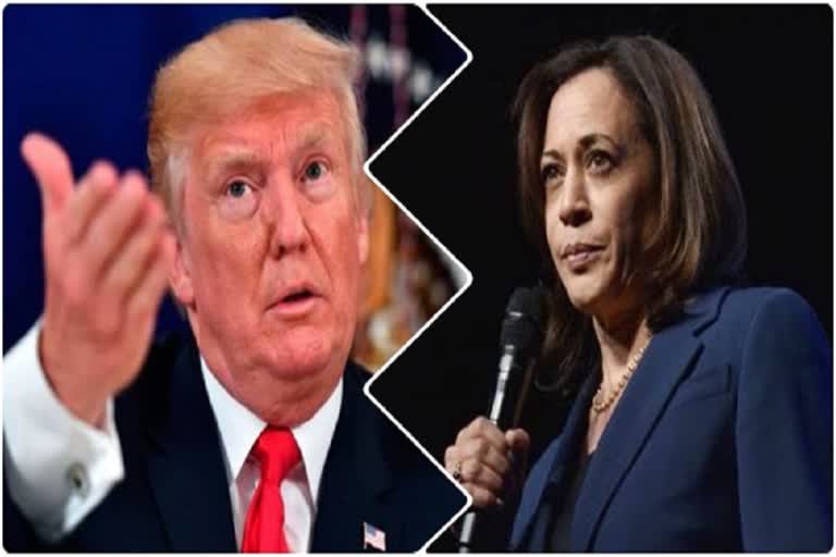 TRUMP-KAMALA