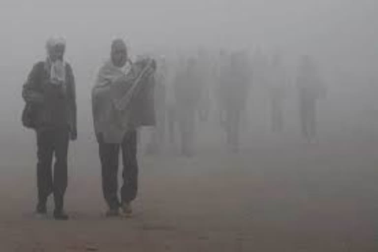 cold conditions to continue in haryana