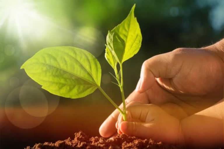 world soil day 2019