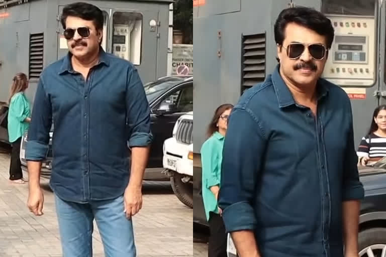 Promotion of Mamankam Hindi version  Promotion of Mamankam Hindi version Actor Mammootty at Bollywood Capital The video is viral  എന്നാ ലുക്കാണോ...! സ്റ്റൈലിഷ് ഗെറ്റപ്പില്‍ മമ്മൂട്ടി മുംബൈയില്‍  മാമാങ്കം ഹിന്ദി പതിപ്പ്  നടന്‍ മമ്മൂട്ടി  മലയാള ചിത്രം മാമാങ്കം  Actor Mammootty at Bollywood Capital  Mamankam Hindi version