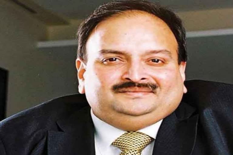 mehul choksi