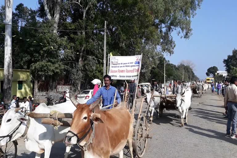 bullock cart rally took placed in balaghat