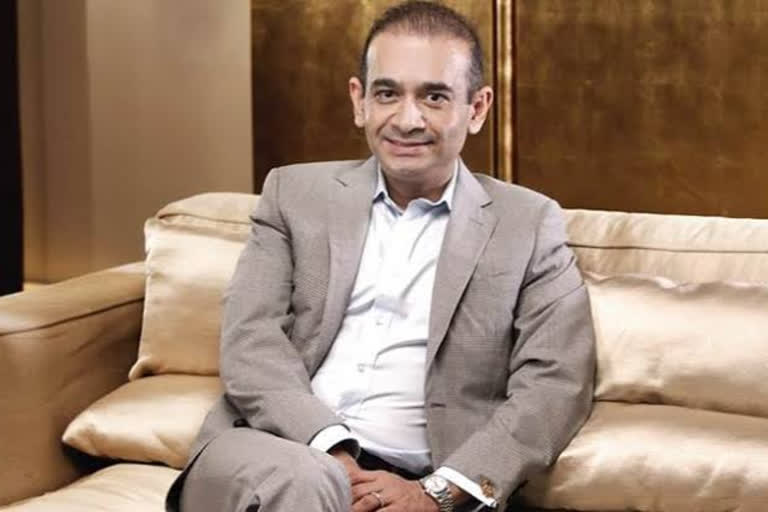 Nirav Modi