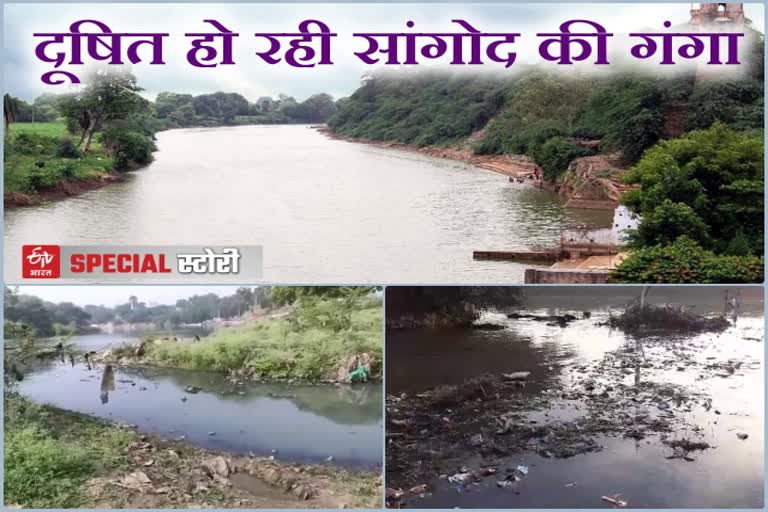 Ujad river contaminated, special report Ujad river