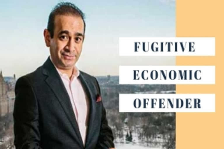 Nirav Modi declared fugitive economic offender