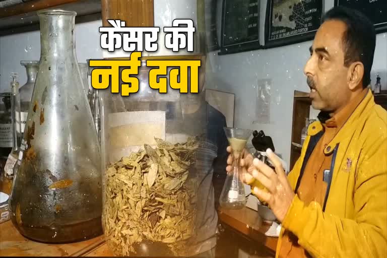 कैंसर का इलाज