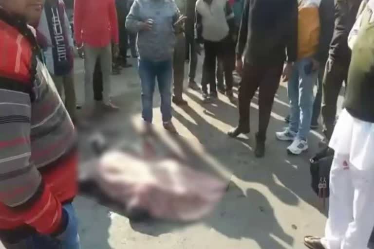 a women died in road accident in yamunanagar