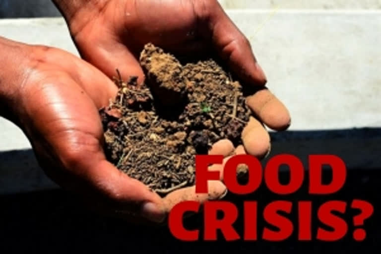 Is excess soil erosion the beginning of food crisis across the globe?