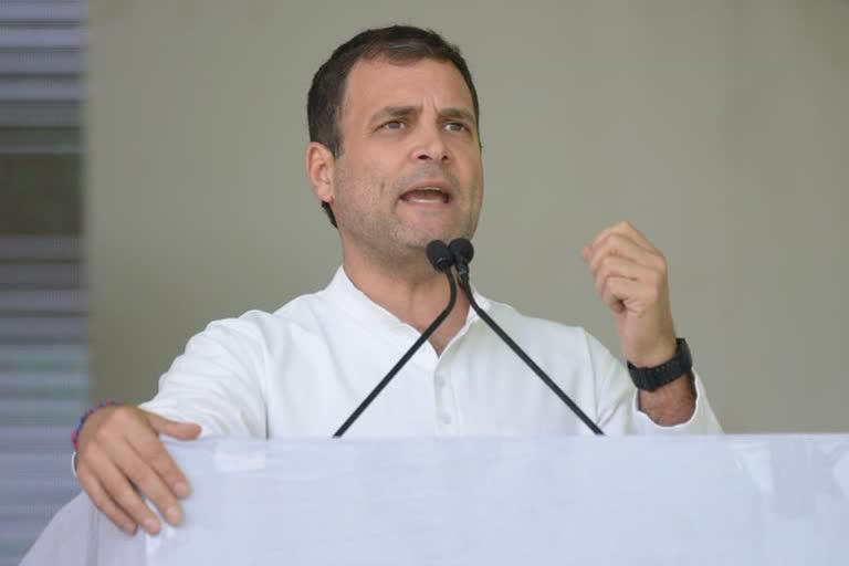 rahul gandhi latest news  rahul gandhi at wayanad  രാഹുല്‍ ഗാന്ധി ഇന്ന് വയനാട്ടില്‍  വയനാട് എംപി