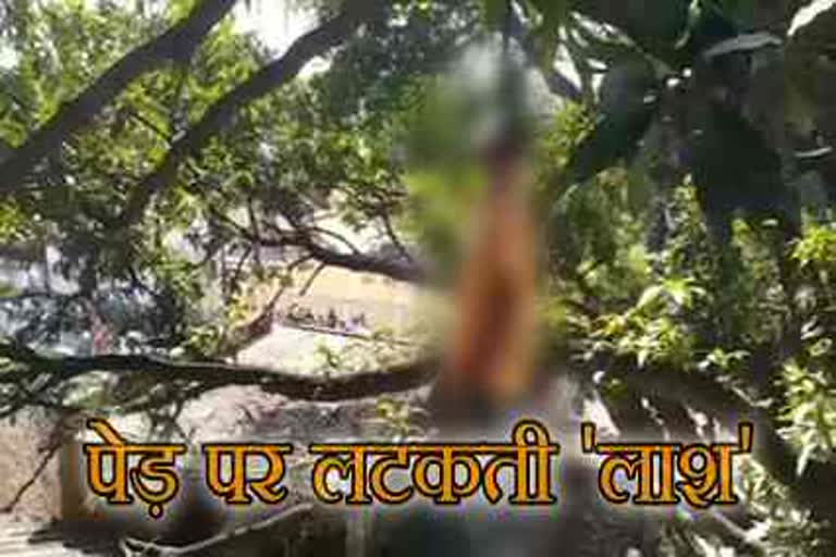 raipur_dead body_tree