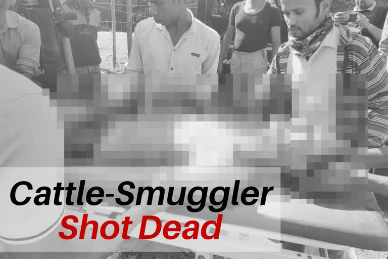 Cattle smuggler killed in encounter in Assam