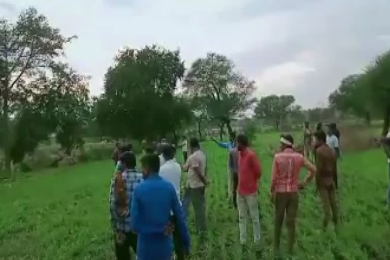 banswara news, Panther attacked, बांसवाड़ा न्यूज, कुशलगढ़ न्यूज