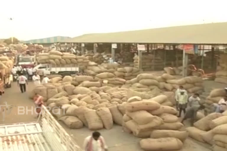 new market yards at andhra pradesh