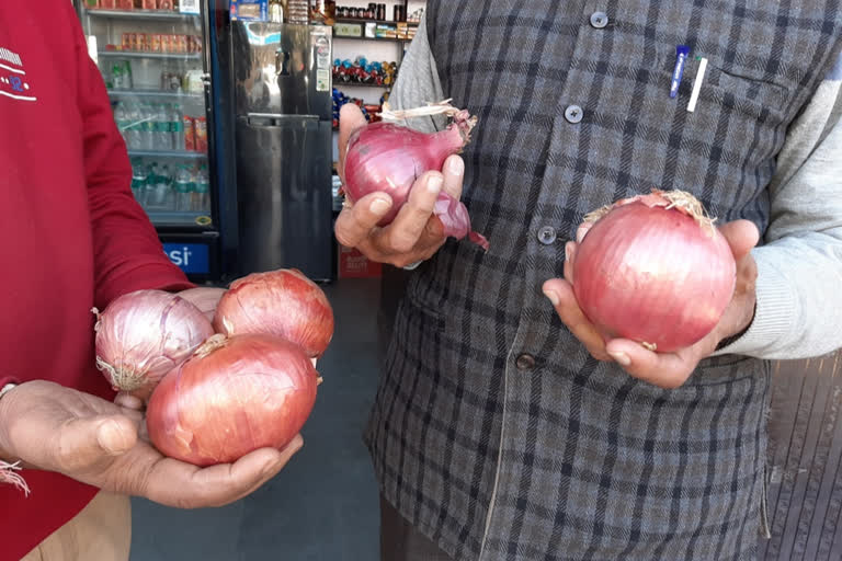 onion prices is himachal