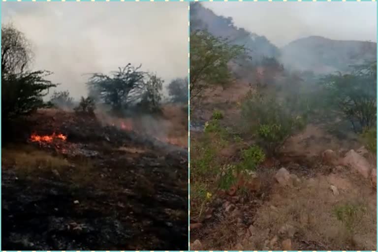 जालोर न्यूज, jalore latest news, fire in Silasan village, सिलासन गांव में आग, ग्रामीणों की मदद से पाया काबू