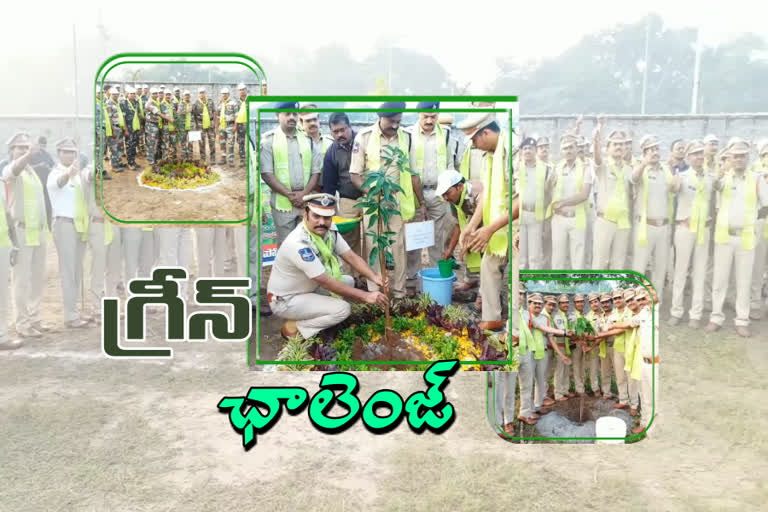 ramagundam cp satyanarayana accepted mp venkatesh's green challenge and planted a tree in ramagundam commissionerate