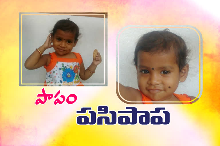 three years baby girl died of bus accident at rayaparthi in warangal rural district