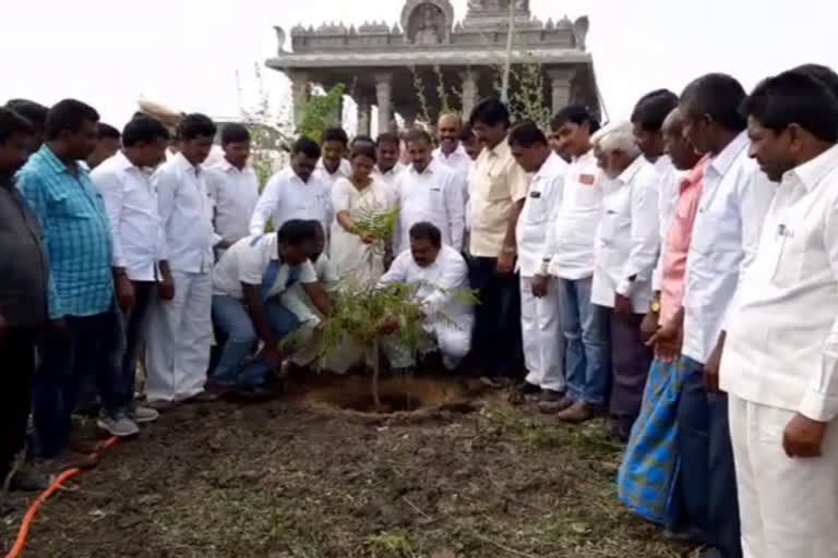 mp santosh birthday celebrations