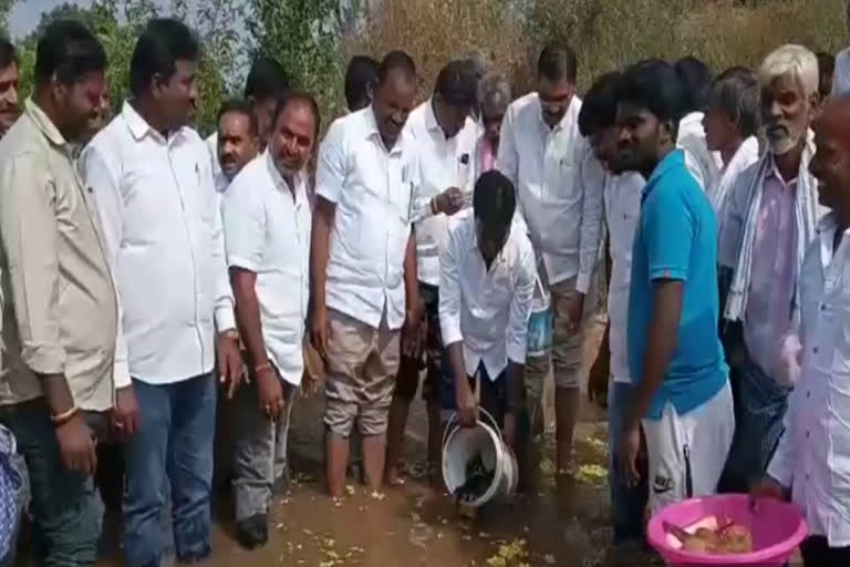 fish release into river at karimnagar by mla rasamai balakishan