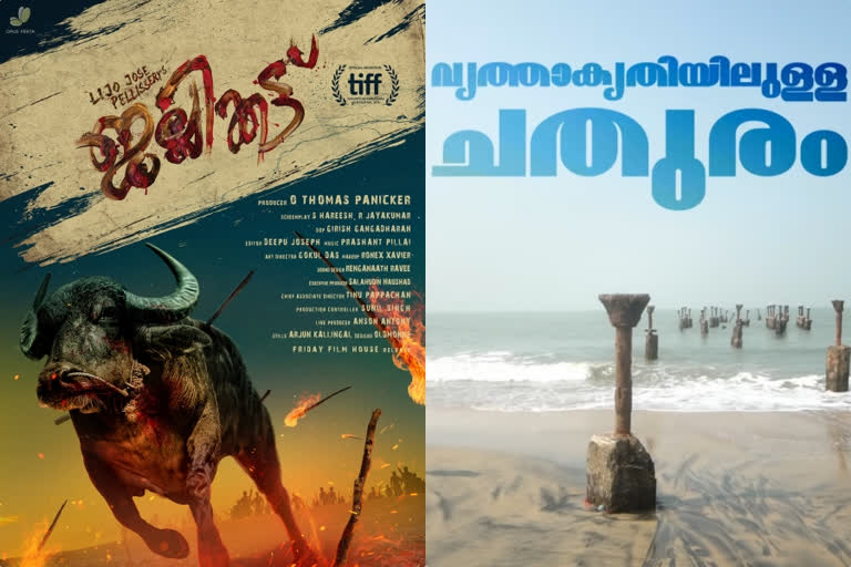 ലോകസിനിമകളോട് മത്സരിക്കാന്‍ ജല്ലിക്കെട്ടും, വൃത്താകൃതിയിലുളള ചതുരവും  Jallikattu and circular square to compete with world movies  ജെല്ലിക്കെട്ട് ഐഎഫ്എഫ്കെ പ്രദര്‍ശനം  കേരള രാജ്യാന്തര ചലച്ചിത്രമേള  Jallikattu  world movies  iffk