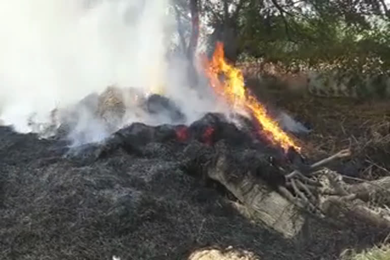 Fire on 10 acres of crop