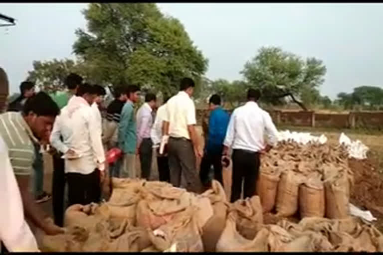 action against illegal paddy storage,