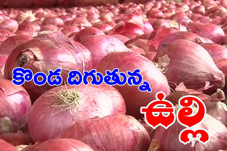 onion rates low kurnool market