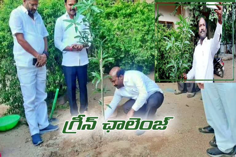 Lingayya Green Challenge to the Minister and MLAs