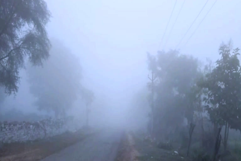 Winter rains in Rajsamand, minimum temperature 7.6 degree