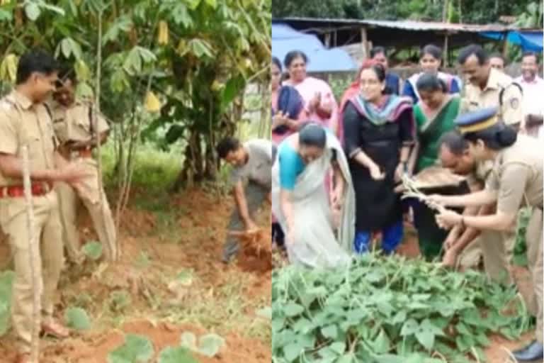 police farmer