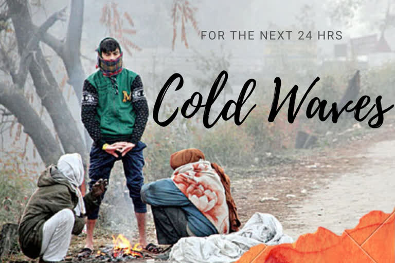 Cold wave continues in Rajasthan