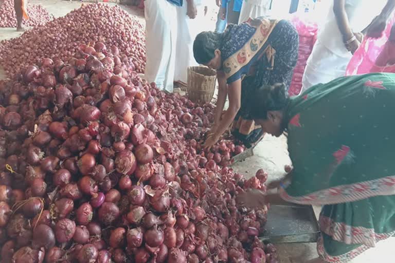 Imported egypt onion