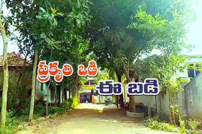 http://10.10.50.sangampalli govt school is Ideal school for all government schools 85:6060///finalout4/telangana-nle/finalout/09-December-2019/5315344_school.mp4