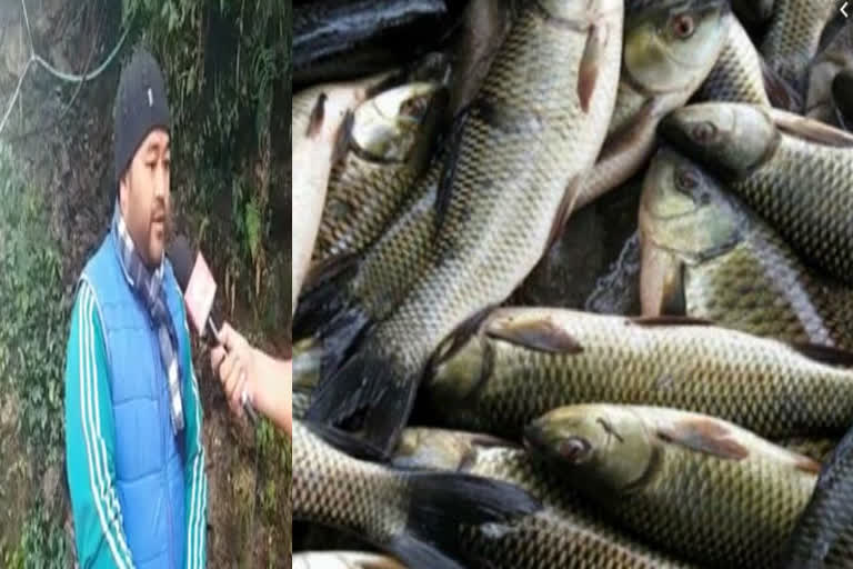 trout-fish-farming-in-chamoli