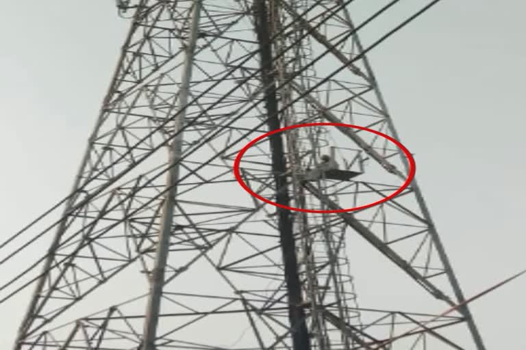 older man climbs tower hisar