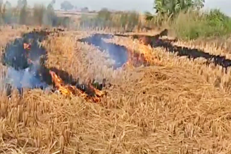 Farmers burning straw in Gaya despite ban