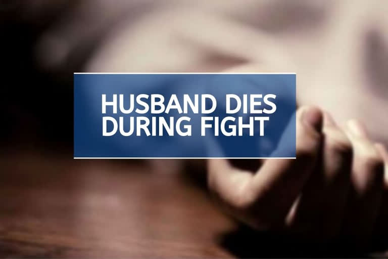 Husband dies during fight, wife booked