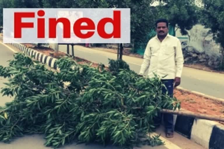 tree rammingtree ramming Hyderabad