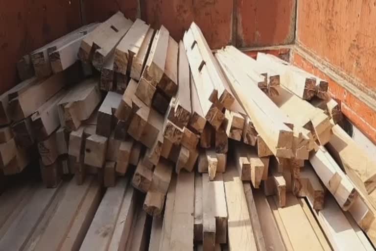 illegal wood transfer, 2 arrested