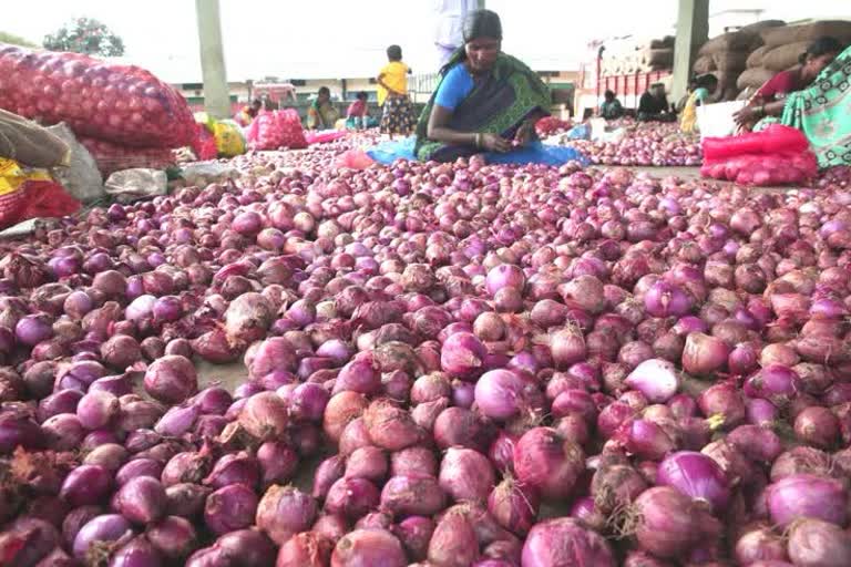 onions stocking