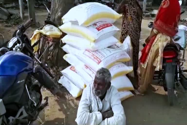 Urea scarcity started in dholpur, dholpur latest news, धौलपुर लेटेस्ट न्यूज, धौलपुर ताजा हिंदी न्यूज, dholpur farmers urea problem