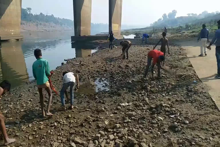 youth-campaign-to-make-narmada-in-clean-in-narsinghpur