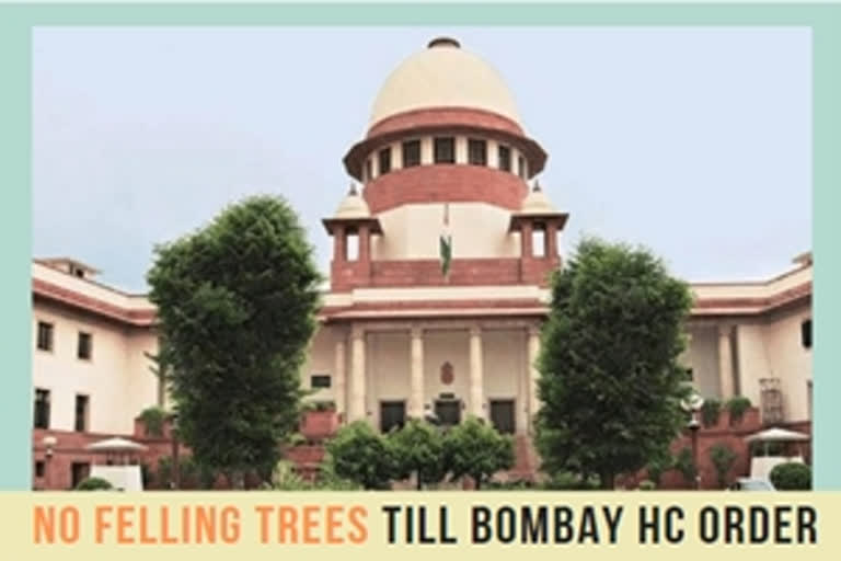 SC restrains Maha from felling trees for metro project