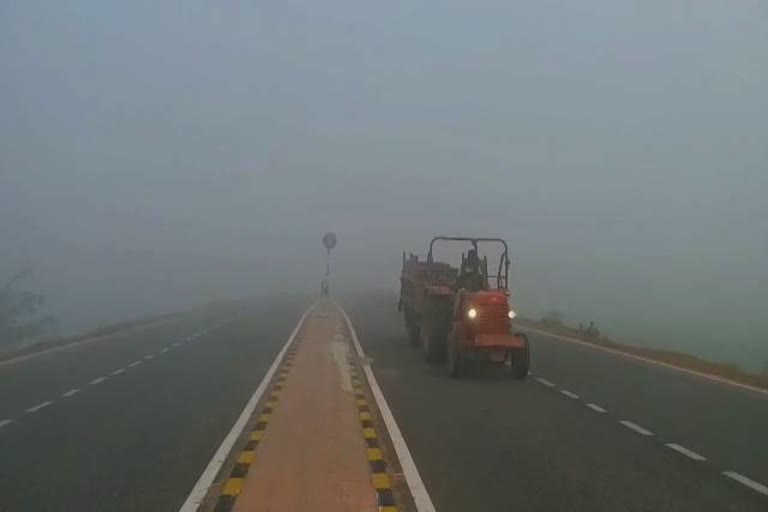 fog and cold effect in Dhaulpur, धौलपुर में कोहरा और सर्दी